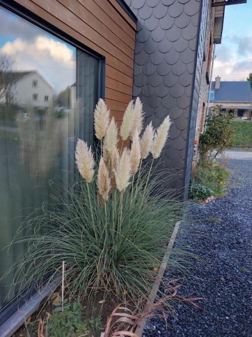 Le Reposoir Maison Spacieuse Avec Feu Au Bois Bertogne Dış mekan fotoğraf