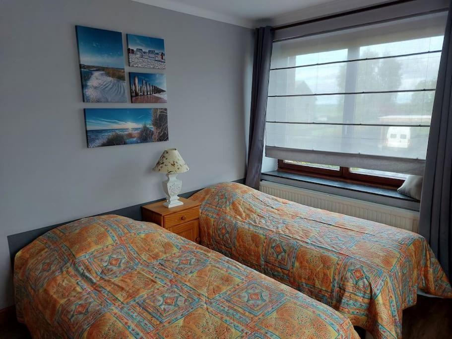 Le Reposoir Maison Spacieuse Avec Feu Au Bois Bertogne Dış mekan fotoğraf